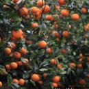 YOLO(욜로)민박 이미지