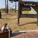 삼송도서관 화장실 이미지