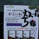 [ 평창 1박 2일 체험여행 #1 ] 계방산 자연농원 (아로니아 체험) - 힐링 700 (식초양조장 견학과 시음...