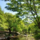 이안힐링랜드 이미지