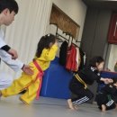 감일 나르샤 태권도장 이미지