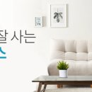 싱글하우스 이미지