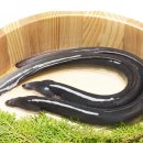 민물장어구이 - 청도군 | 민물장어구이