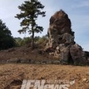 신효동-12 이미지