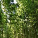 울릉서중학교 이미지