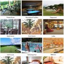 도원당구장 이미지