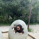 소꿉놀이민박 이미지