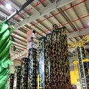 놀토피아 이미지