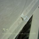 로만 이미지