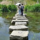 삼향천6 이미지