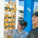 월화공원(부흥마을) 이미지