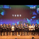 다이브알앤디 쿠키뉴스