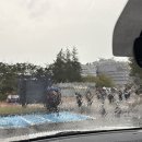 김밥만두국가대표 | 가을은 야구지~~~!!!