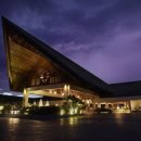 넥서스그린 이미지