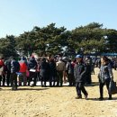 용문초등학교 이미지