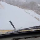 웅이네농장 이미지