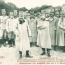 돼지왕국 이미지