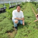 김진성농장 이미지