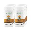 트루메디 이미지