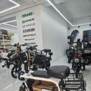 뚜뚜애견 | [부산전기자전거] 반려견과 함께 즐기는 신나는 이동 수단! 핸디라이프 부산점 이디뚜뚜 후기