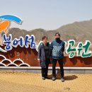 임실엔치즈하우스 붕어섬