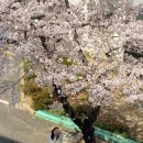 모심헤어 이미지