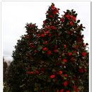 평사공원 이미지