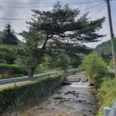 충남 공주 동학사 맛집 바베큐 7892