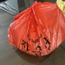 안산 원곡동 탕수육 맛집 자금성 후기 배달