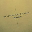 카페릴리(CAFE LILY) 이미지