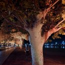 합천 문보트 레저 이미지