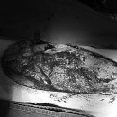 태산동물병원 이미지