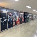 태풍복싱체육관 이미지