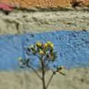 청하당한의원 이미지