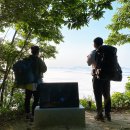 구루미그린 - 강남구 도산대로8길 18-9 | 구루미그린