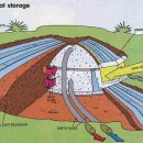 자연을 닮은 집 이미지