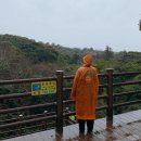 솔안분식 | 제주 1·2일차｜비오던 날 서귀포 여행(사려니숲길, 쇠소깍, 엉또폭포, 천제연폭포, 비추천 식당)
