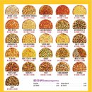 미친피자 영등포점 이미지