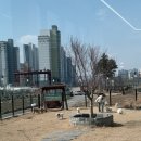 폴앤도기 동남캠퍼스 이미지