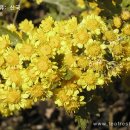 모리폴리 이미지