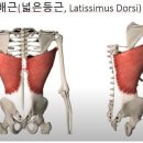 헬스플러스구래 - 김포시 김포한강4로 507 | 헬스플러스구래