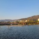 김해체육관 화장실 이미지