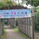 시와 연꽃의 만남 이미지