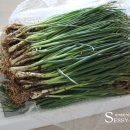 지존목장 이미지