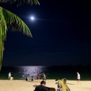 가야목장 | 나트랑 3박 5일 | 🏜사막투어 정말 꼭 가야 할까? 판랑 단독투어 &amp; 양떼목장 내돈내산 가격 및 솔직후기