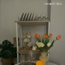 스테이플라츠 이미지