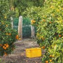 문종농장 이미지