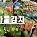 명이나물김치 맛있는 양념 만드는 법 명이 김치 산나물 겉절이 이미지