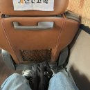 [부산여행] 고1칭구들이랑 떠난 1박2일 부산여행 (전포동소품샵투어/이재모피자/광안리)