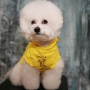 모임스튜디오 이미지